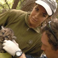 2   Zara McDonald with 6 week old Puma Kitten in the Santa Cruz Mountains