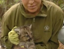 Zara with Kitten in Santa Cruz Mountains 3