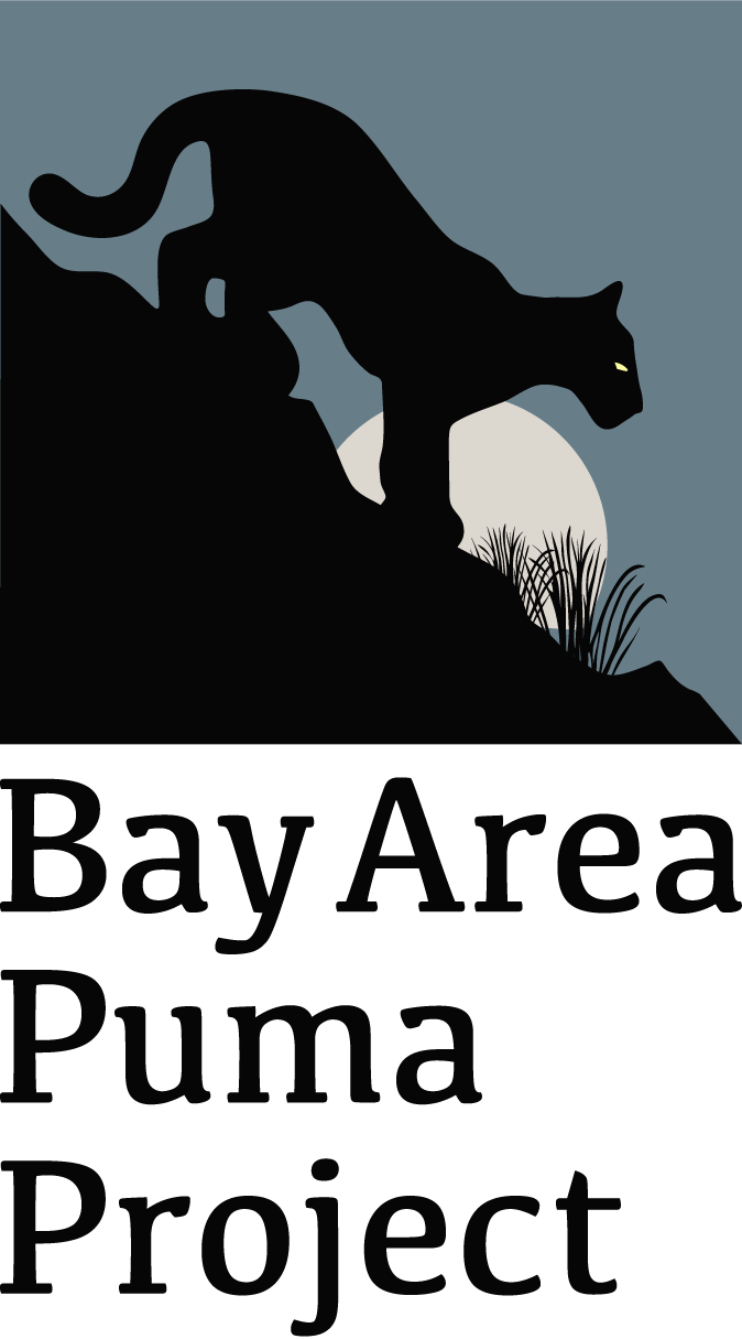 Bay Area Puma Project